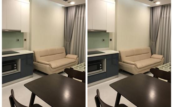 apartment for rent in binh thanh district BT105P222 (1)